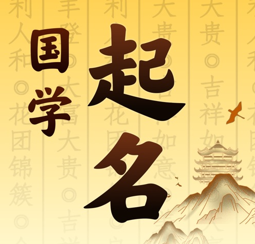 丹凤国学起名 人工起名一对一